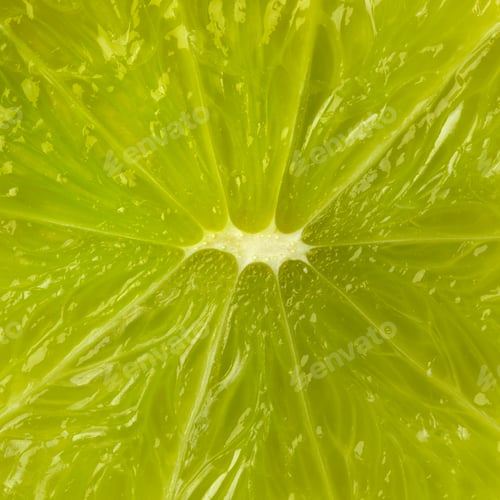 Preview: Fruit flesh of a juicy green lime close up full frame