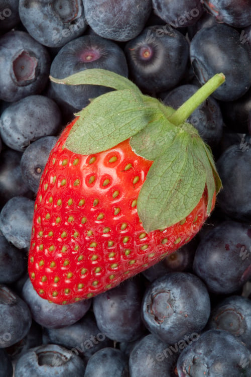 Vista previa: Strawberry in the middle of blueberries in a high angle view