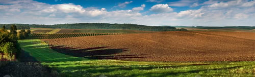 Preview: agricultural land, arable field, currant plantations, and others