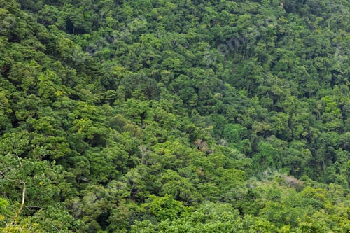 Preview: Top down view of Mountain hiking trail in Hong Kong
