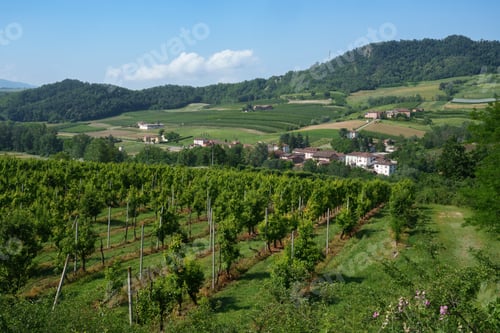 Preview: Rural landscape on Tortona hills, Piedmont, Italy