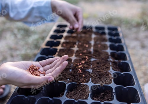Preview: Agriculture concept