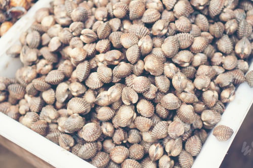 Preview: seafood in market