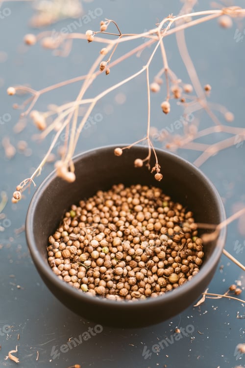 Preview: Coriander seeds