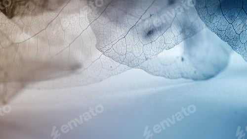 Preview: Vivid Color Dry Leaf Texture For Background