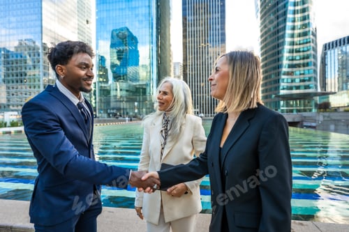 Preview: Diverse business professionals shaking hands making a deal
