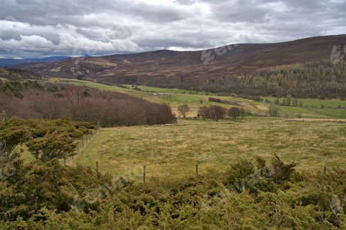 Preview: Scotland Landscape in early spring