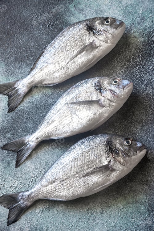 Preview: Sea bream (dorada) fish