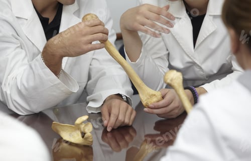 Preview: Close Up Students Holding A Bone At Biology Class