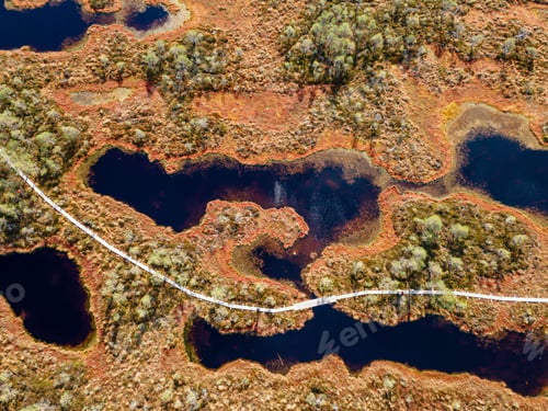 Preview: Wooden hiking trails in swamps
