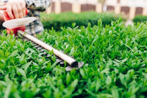 Preview: Cutting a shrub with an electric brush cutter