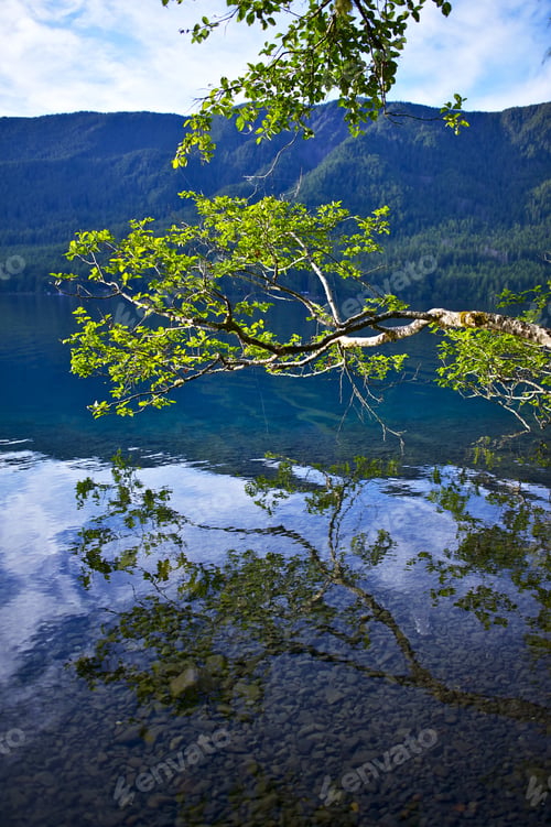 Preview: Crescent Lake Branch