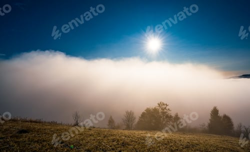 Preview: Early morning and frozen grass covered in fog under the bright sun