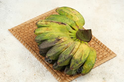 Preview: Bunch of Kepok Bananas or Pisang Kepok, Isolated on White Background.