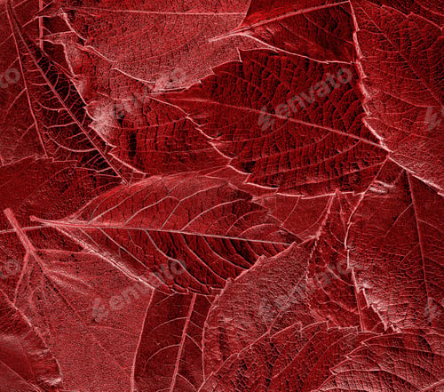 Preview: Autumn Leaves Lie On Bright Paper Background Image