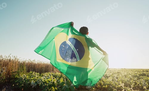 Preview: Brazilian little kid - football fan, child patriot with national flag on sky background at summer