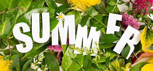 Preview: Summer leaves and flowers with paper cut text Summer. Green nature, vacation time banner. Top view