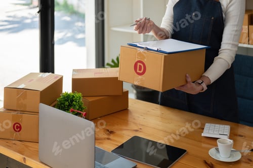 Preview: Starting small businesses SME owners female entrepreneurs Use a laptop or notebook to receive and