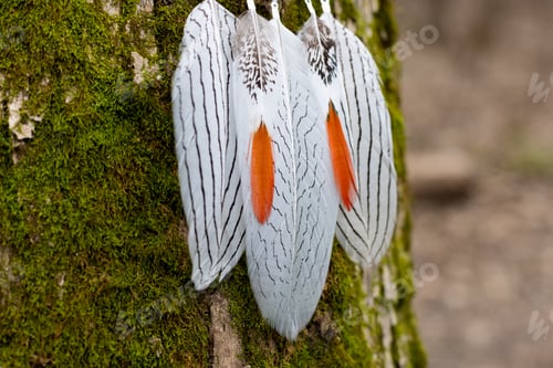 Preview: Handmade dream catcher with feathers threads and beads rope hanging