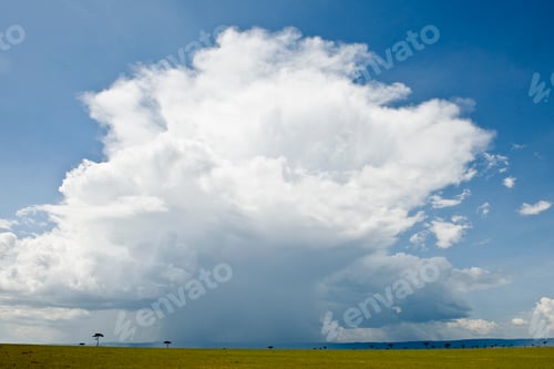 Preview: Rain cloud over Africa landscape, Serengeti National Park, Serengeti, Tanzania