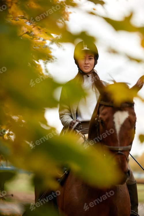 Preview: Beautiful brunette on a horse on the background of an autumn landscape. Horseback riding, active