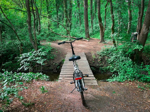 Preview: Bicycle in the forest during springtime near a wooden bridge