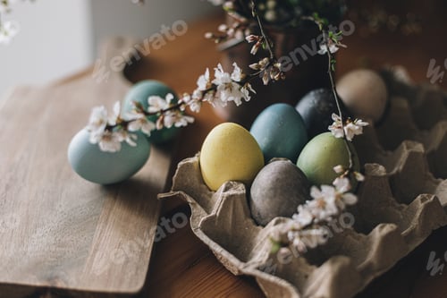 Preview: Happy Easter! Easter eggs on rustic table with cherry blossoms. Natural dyed colorful eggs in tray