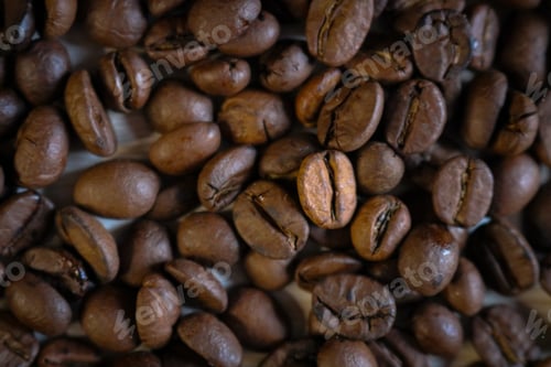 Preview: Coffee beans