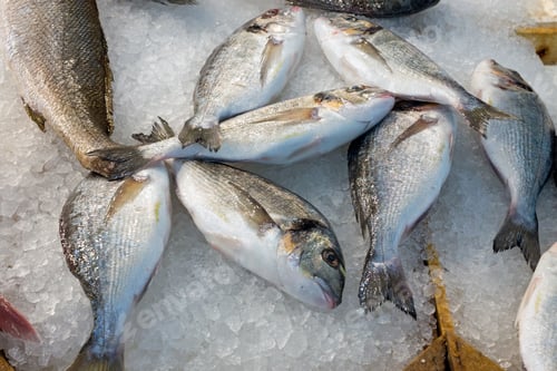 Preview: Fish at the market