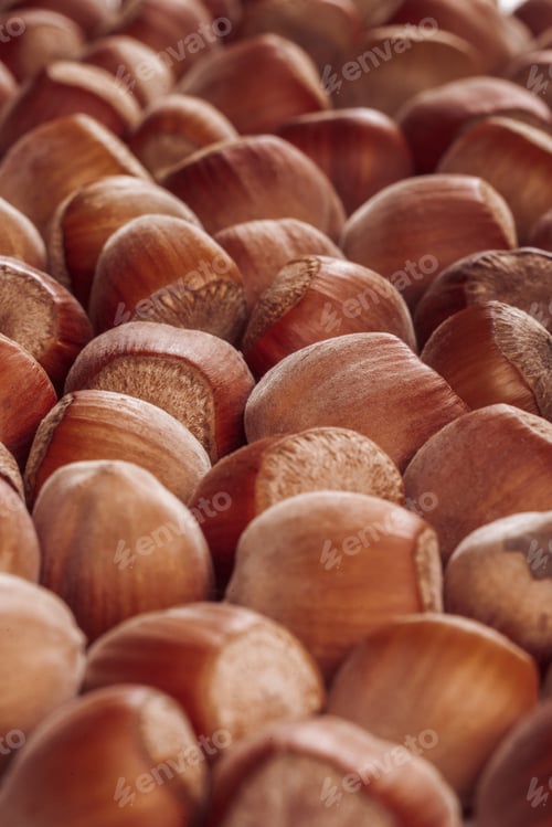 Preview: Closeup of some unopened hazelnuts