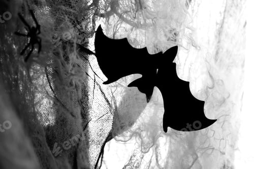 Preview: Halloween composition with bats and spiders on grunge background