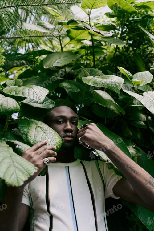 Preview: Elegance in Nature