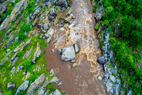 Preview: Aerial view of forest River, India.