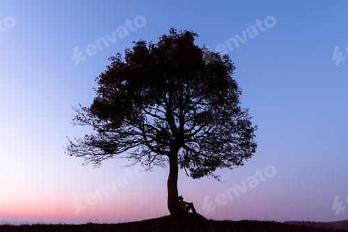 Preview: Silhouette of traveler under large tree in mountain meadow at sunset