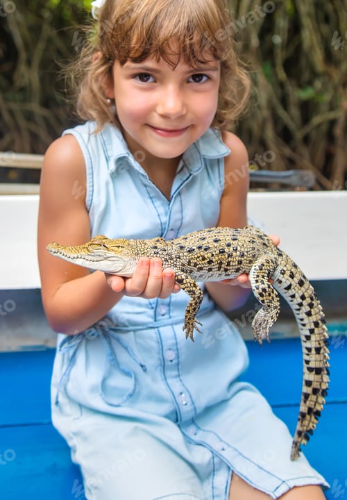 Preview: The child holds a small crocodile in his hands. Selective focus.