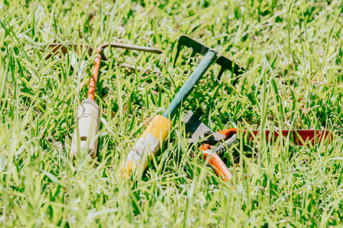 Preview: Beautiful garden flowers and gardening tools on shabby chic background