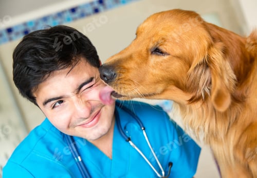 Preview: Cute Dog Giving A Kiss To The Vet After A Checkup