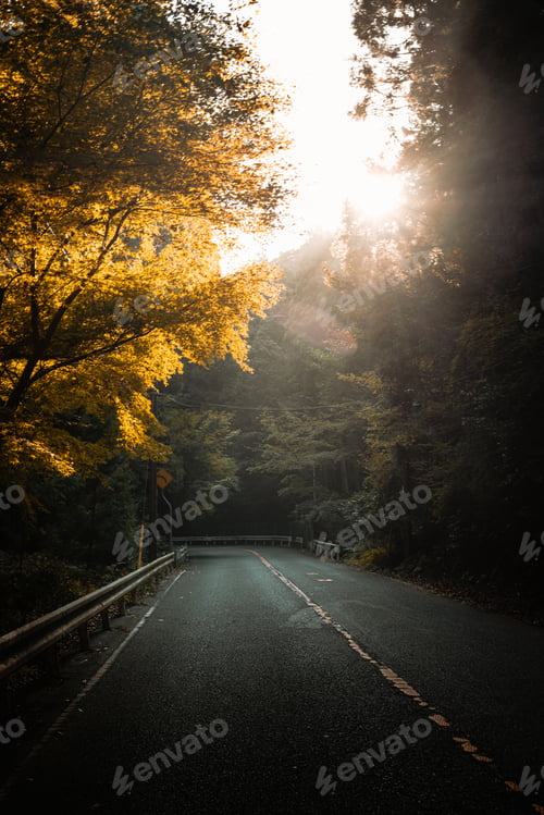 Vista previa: Carretera panorámica entre árboles otoñales