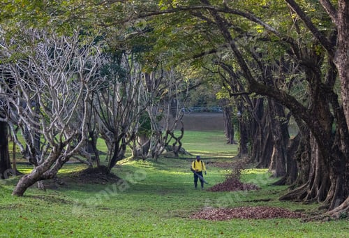 Visualização: Gardener working with a leaf blower in a park with beautiful trees