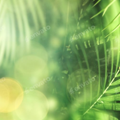 Preview: Green Forest Jungle with Palm Leaves