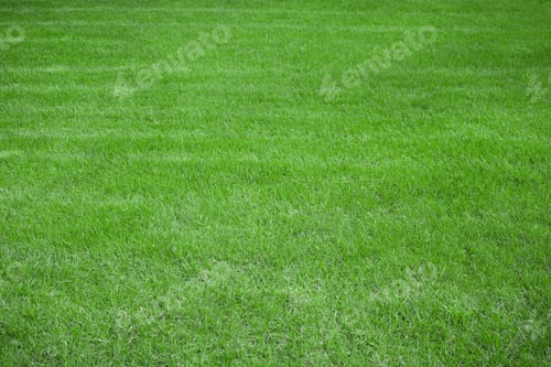 Preview: Green lawn during the day. Mowed lawn. Saturated grass in a park or garden. Natural background