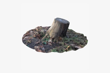 Preview: Detailed Oak Tree Stump with Ground Debris