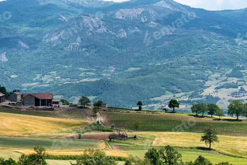 Preview: Passo del Penice: mountain landscape