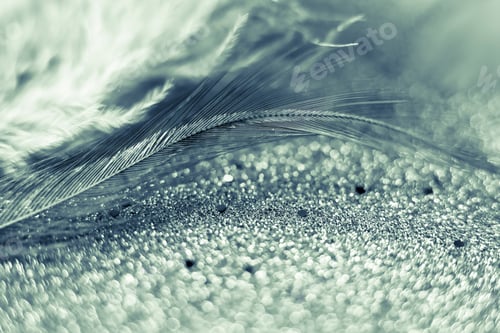 Preview: macro shot of feather and glitter