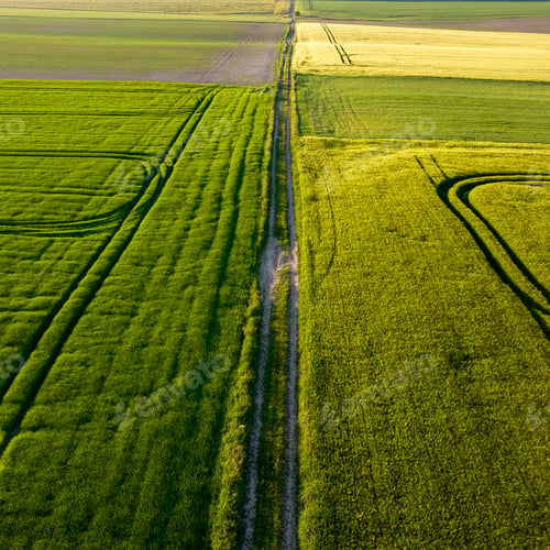 Preview: Landscape of a road surrounded by farm fields covered in greenery under the sunlight