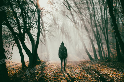 Preview: woman and dog strolling in beautiful foggy forest in autumn