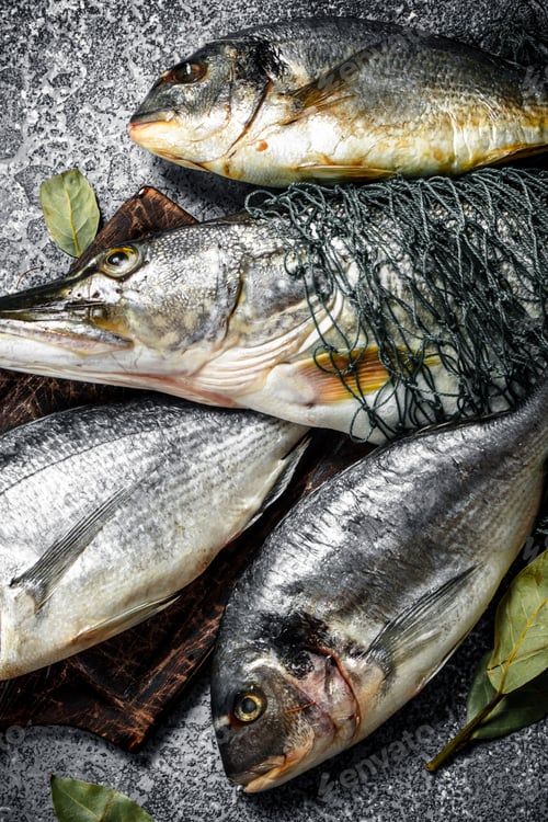 Preview: Fresh unprepared fish.