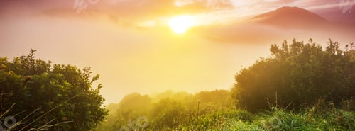 Preview: Fog on meadow