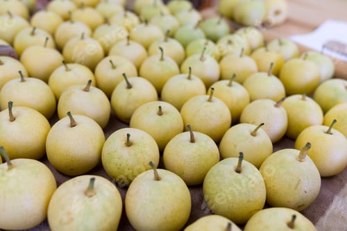 Preview: Japanese pear