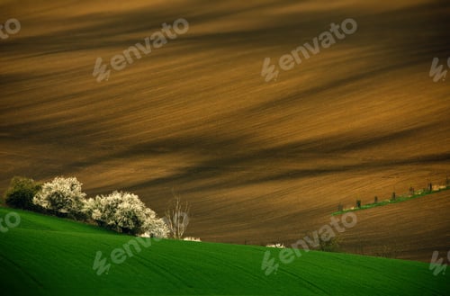 Preview: Landscape of farm field crops and orchards in Moravia, the Czech Republic